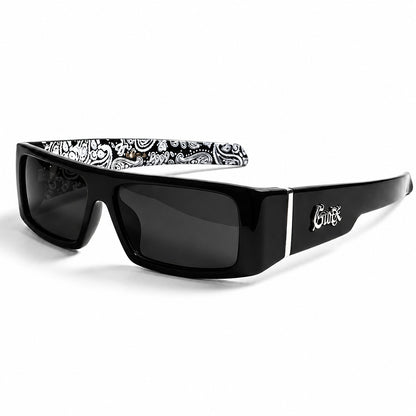 Titan Polarized Sunglasses