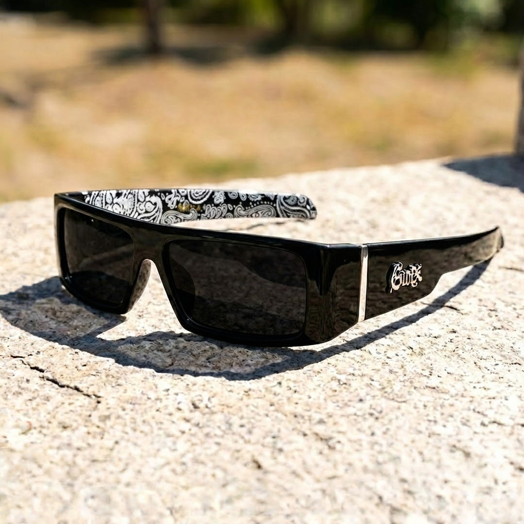 Titan Polarized Sunglasses