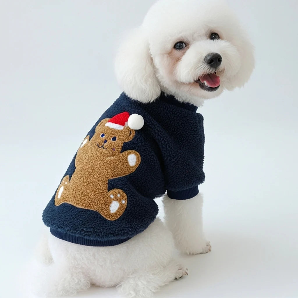 White dog wearing a navy blue sweater with a teddy bear design on a white background