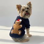 Dog wearing a navy blue sweater with a teddy bear design on a white background