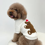 Cozy Bear Bliss Sweater