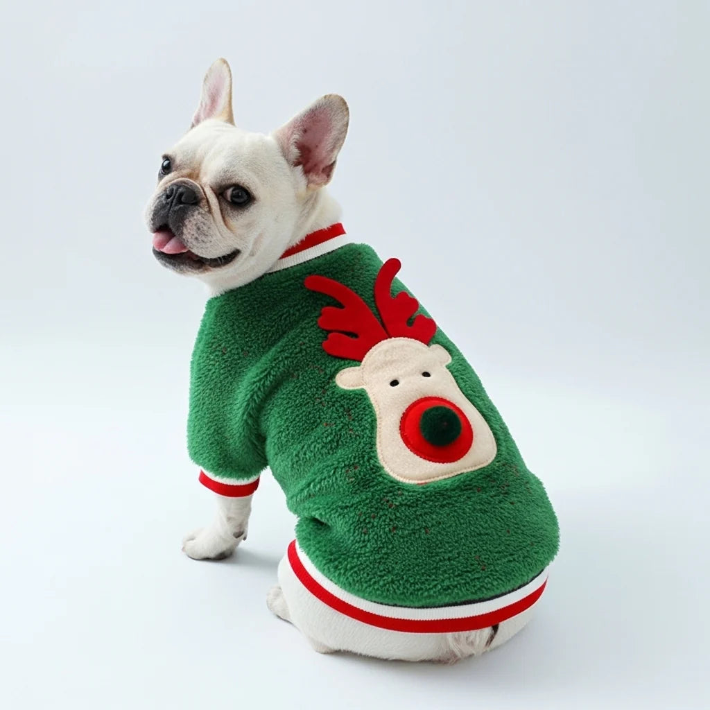 Jingle Paws Sweater
