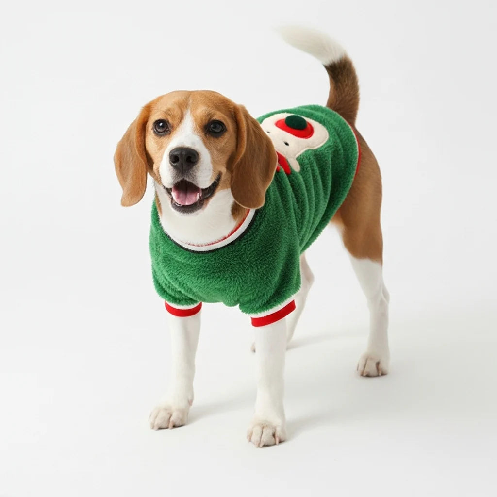Jingle Paws Sweater