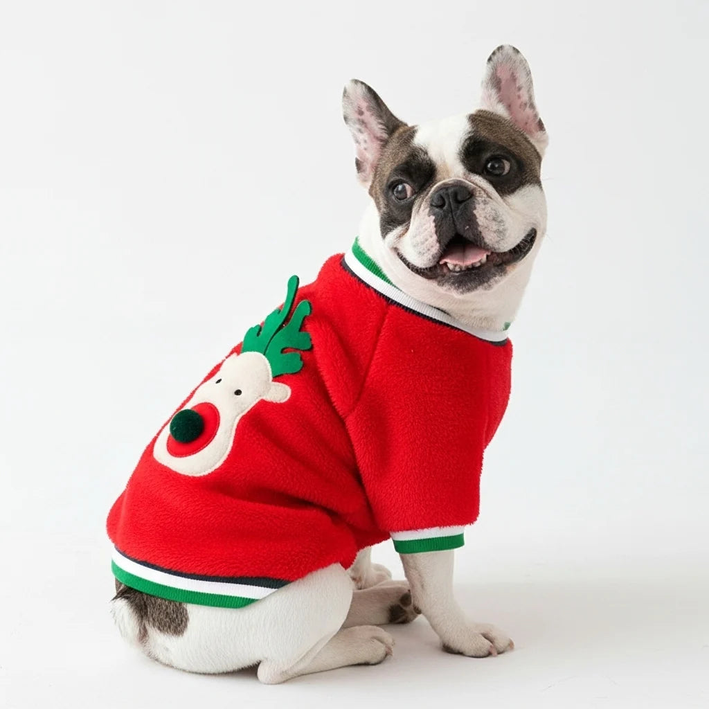 Jingle Paws Sweater