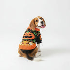 Pumpkin Sweater