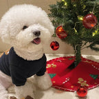 Cozy Bear Bliss Sweater